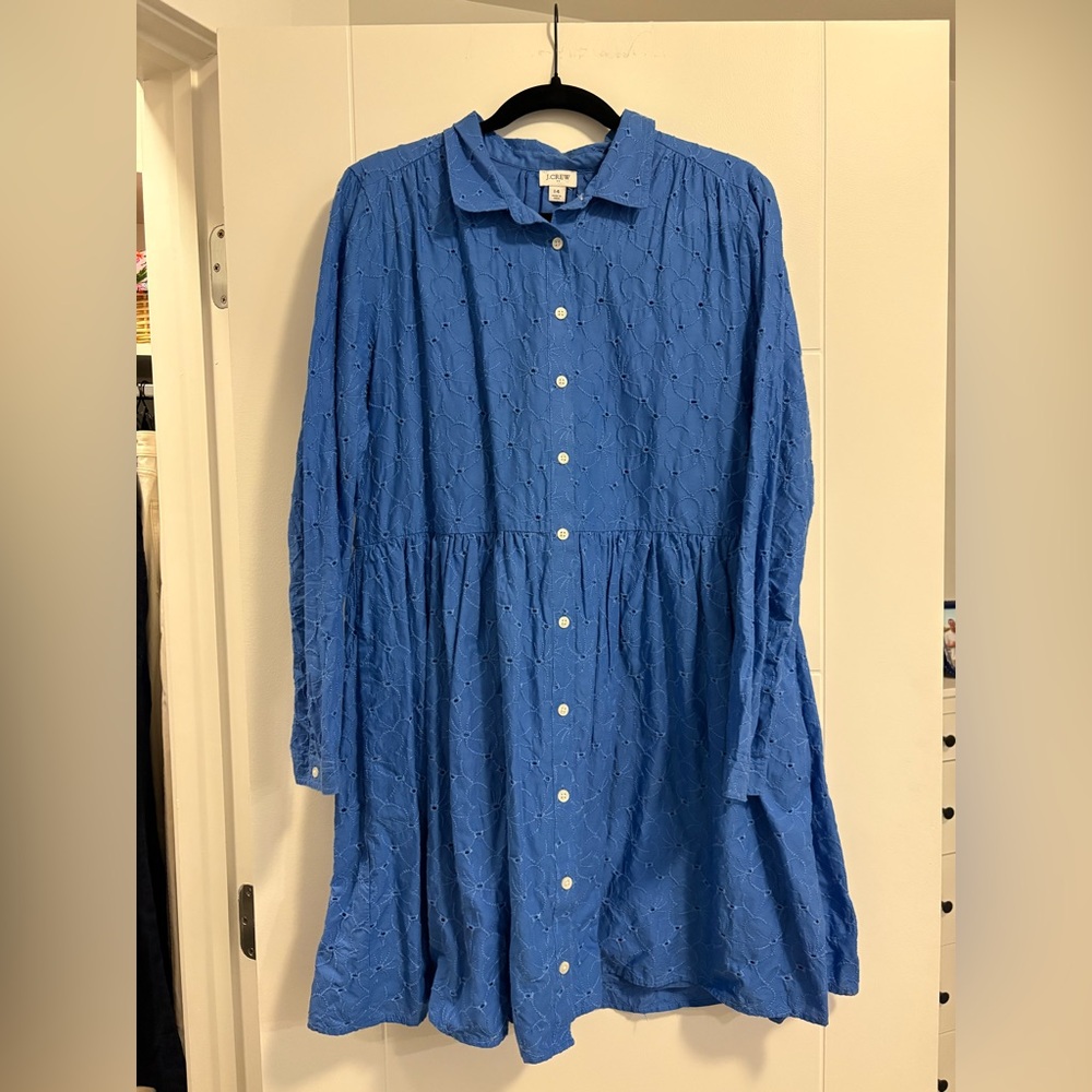 J. Crew Blue Button-Up Long Sleeve Dress